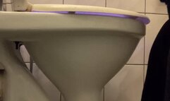 morning toilet sounds of beautiful bowel movements