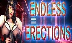 ENDLESS ERECTIONS