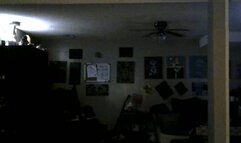 Studying Being a SLUT