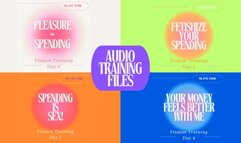 Finsub Slave Training - 4 Day Audio Series