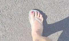 Monday walk with Tempest Jones