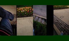 ASMR TAKING IT TO THE STREETS TULIPS OUTDOORS POVS