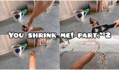 you shrink me part #2