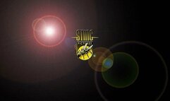 Discipline Diary 1900 remastered SPECIAL OFFER