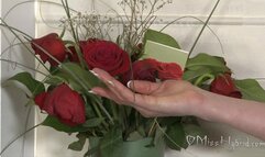 Blue Stocking Bedroom