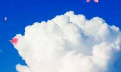 tGodess Drains You Mean Ruined JOI