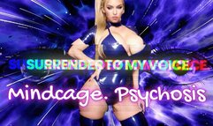 Mindcage Psychosis! Session 6