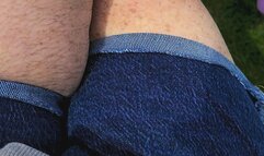 The BIRDS AND THE SNEEZE