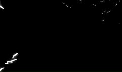 Rosie Satin And Blake Lavista - A Bet Lost, A Date Taken