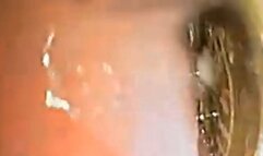 Find the coin! Extreme full screen vore exploration 1080HD