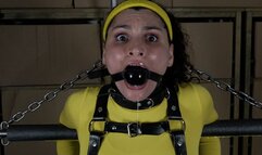 Bella Luxx's High Heel Workout