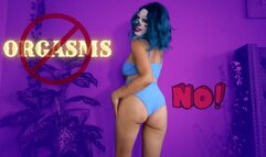 The Circus Of NO Orgasms