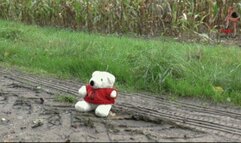 Poor Teddy under Christins mudy Wellies