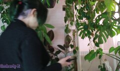 Cum eating for my cuck