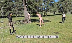 La Sierra Bullwhipping - 02