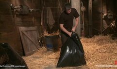 Busty blond ass hooked and fucked