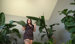 Giantess Discovers Tiny Village