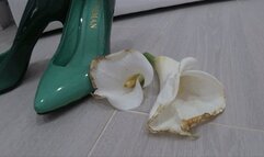 I stomped and crushed two white flowers with green shoes a