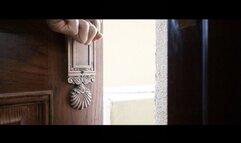 YT2394 Fresh Express Delivery