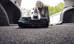 Curious tiny guy gets vacuumed up and dumped in the trash