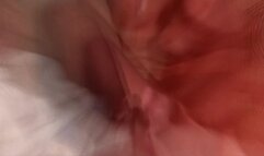 Fetish212 - Rachel Steele's Smelly Armpits