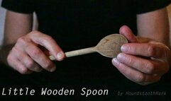 Little Wooden Spoon