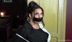 RaRa Curves in: Adventures of a Ms Woo Prototype: No-9 & the Case of the Bogus Art Dealers of Danger!