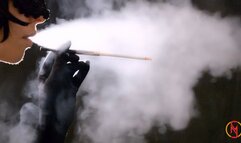 Smoking Vogue Superslims with long holder 2