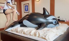 Beat up the Black Whale