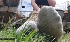 Grey Sock Foot Tease and Toe Flexing