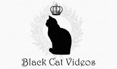 Licking Alice platform in live show (two view)