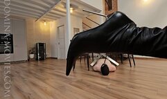 Trampling in Madrid - ENTIRE