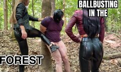 EvilWoman: Ballbusting destruction in the forest