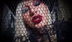 BEWITCHING LIPSTICK KISSES