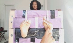 Alexa in all body tickling on the stock