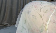 Skirt Lifting with Farts