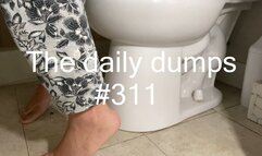 The daily dumps #311 mp4