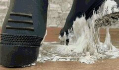 Stuck in Glue: A Morning AdventureMP4