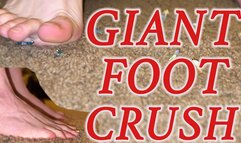 Unaware Giant Foot Crush! - HD MP4 1080p Format
