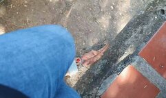 Pumping Car Pedal with Low Sandals and Bare Feet (1) (Edited audio)