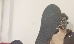 Slave totally cleans up the broken spores with his tongue