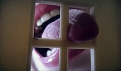 A powerful evil attack on your home mp4 FULL HD