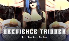 Obedience Trigger Countdown