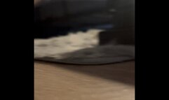 Goddess’ Tiny Sneaks In During Dildo Play