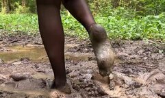 Black Stockings in MUD, muddy stockings, ripped stockings, black stockings wet and muddy