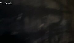 imagine you are my boar