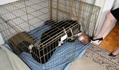 Caged In A Fancy Suit, Luke Jayden Struggles Tied And Tape Gag!