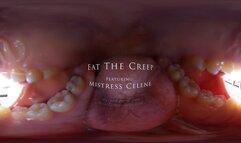 *Eat The Creep - Featuring Mistress Celene Thorn - 4kVR*