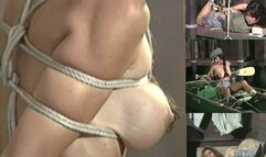 Bound in Appalachia ( Editors Choice Compilation )