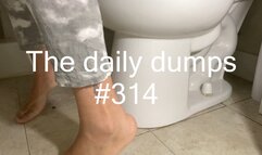 The daily dumps #314